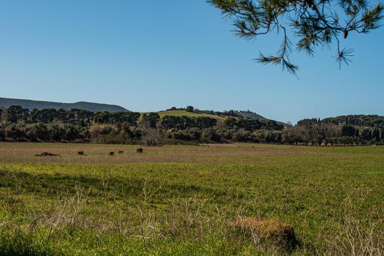 Poggio all'Agnello Sport&Active Holidays Populonia Esterno foto